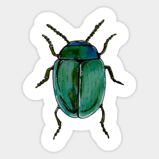 Beetle Sticker